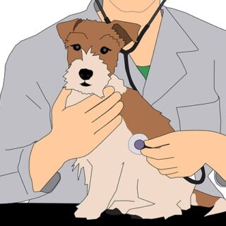 medicina