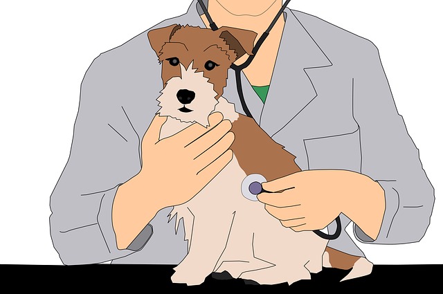 medicina