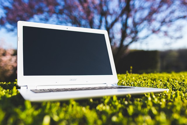 Il mercato del lavoro digitale: le nuove professioni emergenti e il ruolo della consulenza online