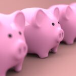 fondo pensione aperto o PIP differenze